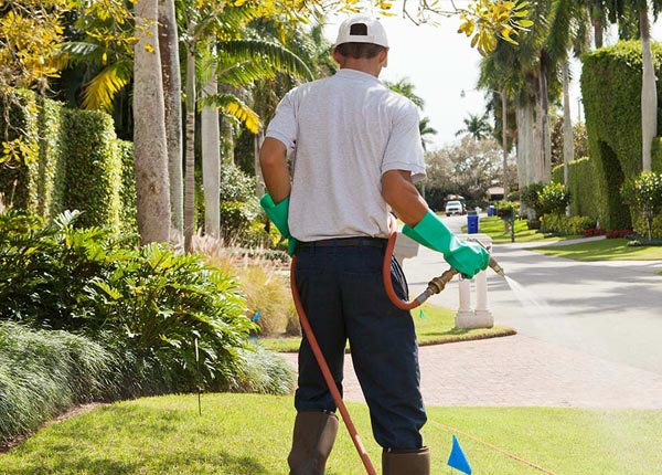 About Shell Knob MO Pest Control